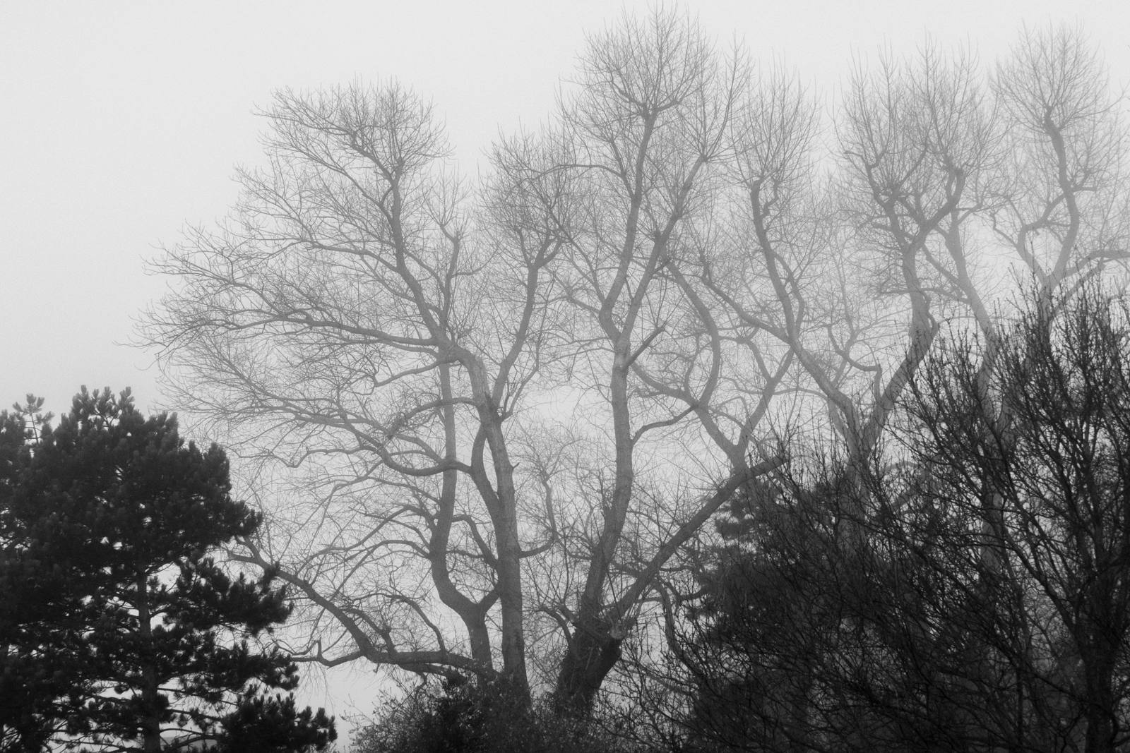 Photography by Chris Allington